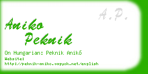 aniko peknik business card